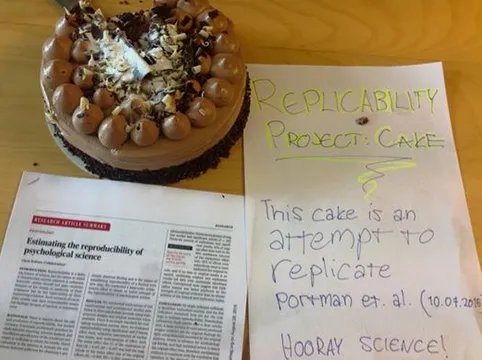 Behold; the Replicake!